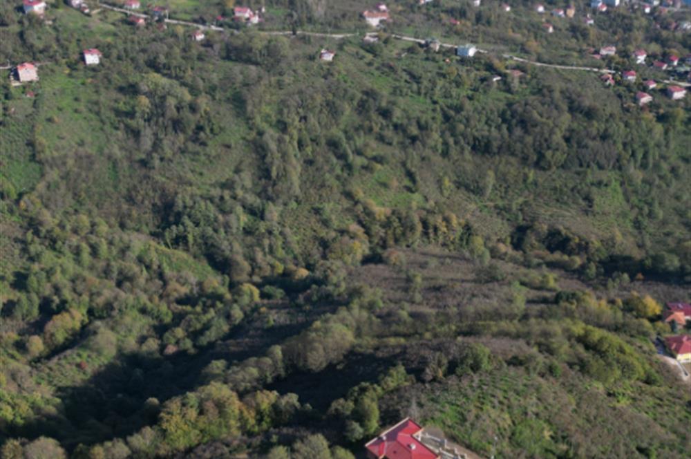 CENTURY 21'DEN PERŞEMBE TARLACIK MAH. DENİZ MANZARALI ARSA