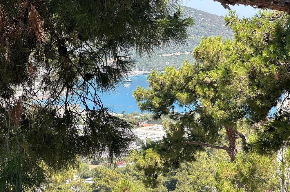 Bodrum Torba Tam Müstakil Satılık Villa