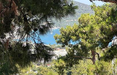 Bodrum Torba Tam Müstakil Satılık Villa