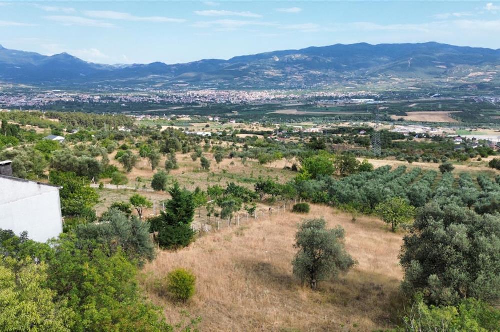 SAKARYA PAMUKOVA BAYIRAKÇAŞEHİR 3115 M2 SATILIK TARLA