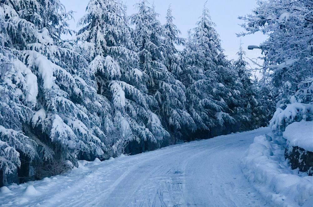 Elmadağ Kayak Merkezi - Güvenlikli Sitede İskanlı Eşyalı Taş Ev