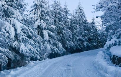 Elmadağ Kayak Merkezi - Güvenlikli Sitede İskanlı Eşyalı Taş Ev