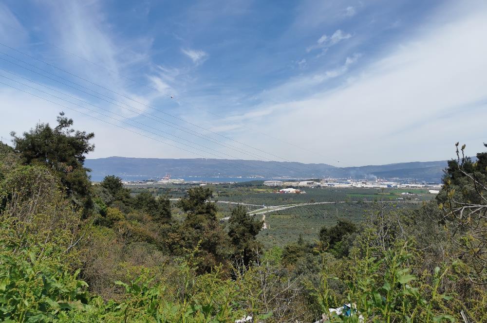 C21 EWA'DAN GEMLİK GENÇALİ KÖYÜNDE DENİZ MANZARALI ZEYTİNLİK !!!