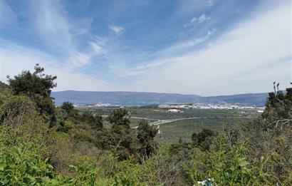 C21 EWA'DAN GEMLİK GENÇALİ KÖYÜNDE DENİZ MANZARALI ZEYTİNLİK !!!