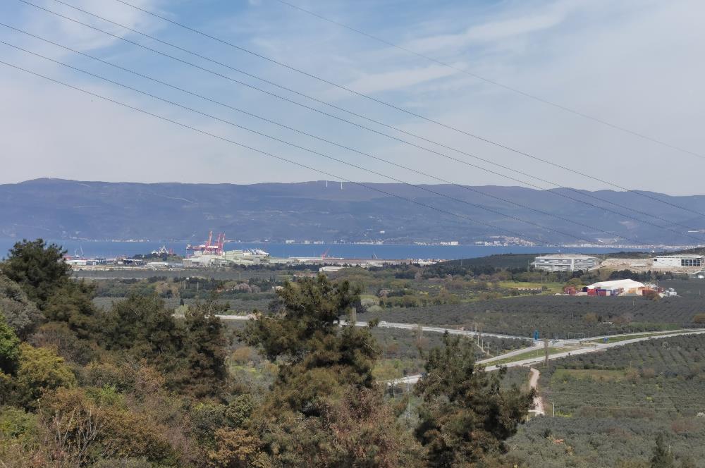 C21 EWA'DAN GEMLİK GENÇALİ KÖYÜNDE DENİZ MANZARALI ZEYTİNLİK !!!