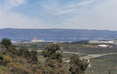 C21 EWA'DAN GEMLİK GENÇALİ KÖYÜNDE DENİZ MANZARALI ZEYTİNLİK !!!