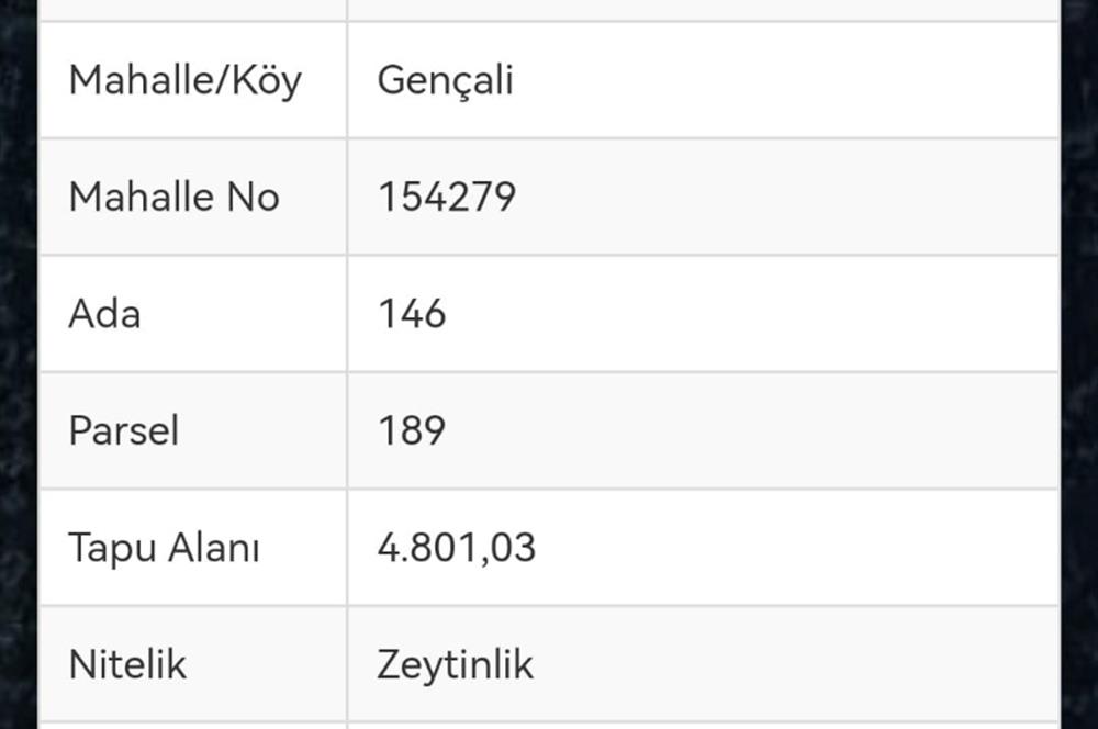 C21 EWA'DAN GEMLİK GENÇALİ KÖYÜNDE DENİZ MANZARALI ZEYTİNLİK !!!