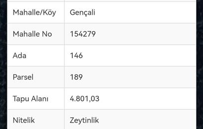 C21 EWA'DAN GEMLİK GENÇALİ KÖYÜNDE DENİZ MANZARALI ZEYTİNLİK !!!