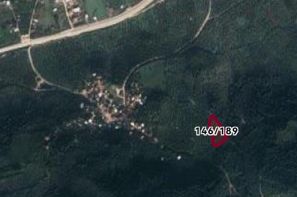 C21 EWA'DAN GEMLİK GENÇALİ KÖYÜNDE DENİZ MANZARALI ZEYTİNLİK !!!