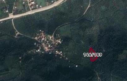 C21 EWA'DAN GEMLİK GENÇALİ KÖYÜNDE DENİZ MANZARALI ZEYTİNLİK !!!