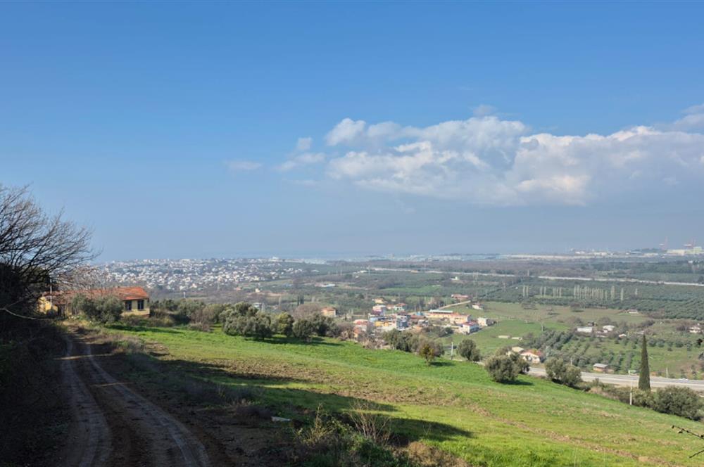 C21 EWA'DAN GEMLİK GENÇALİ KÖYÜNDE DENİZ MANZARALI ZEYTİNLİK !!!