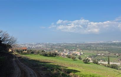 C21 EWA'DAN GEMLİK GENÇALİ KÖYÜNDE DENİZ MANZARALI ZEYTİNLİK !!!