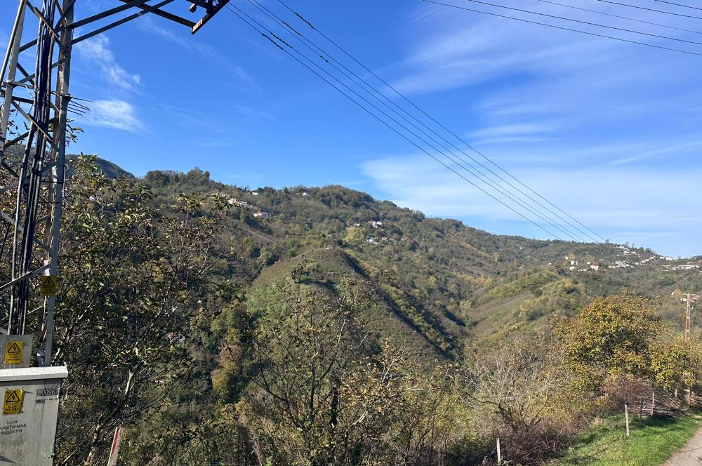 CENTURY 21'DEN PERŞEMBE KALEYAKADA DENİZ MANZARALI ARSA