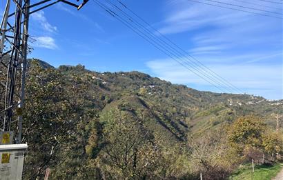 CENTURY 21'DEN PERŞEMBE KALEYAKADA DENİZ MANZARALI ARSA