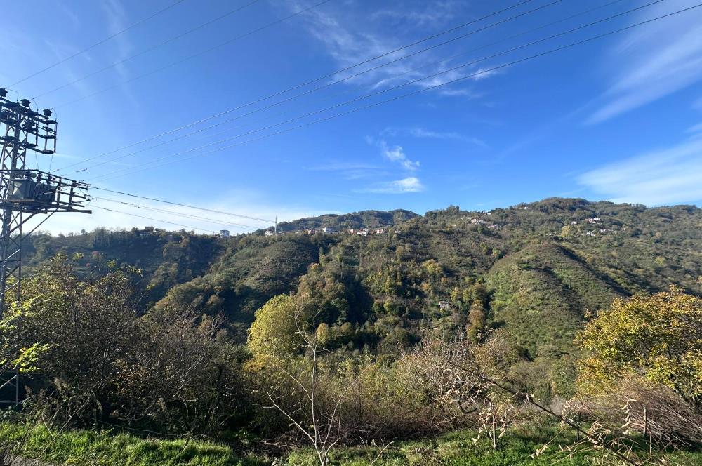 CENTURY 21'DEN PERŞEMBE KALEYAKADA DENİZ MANZARALI ARSA