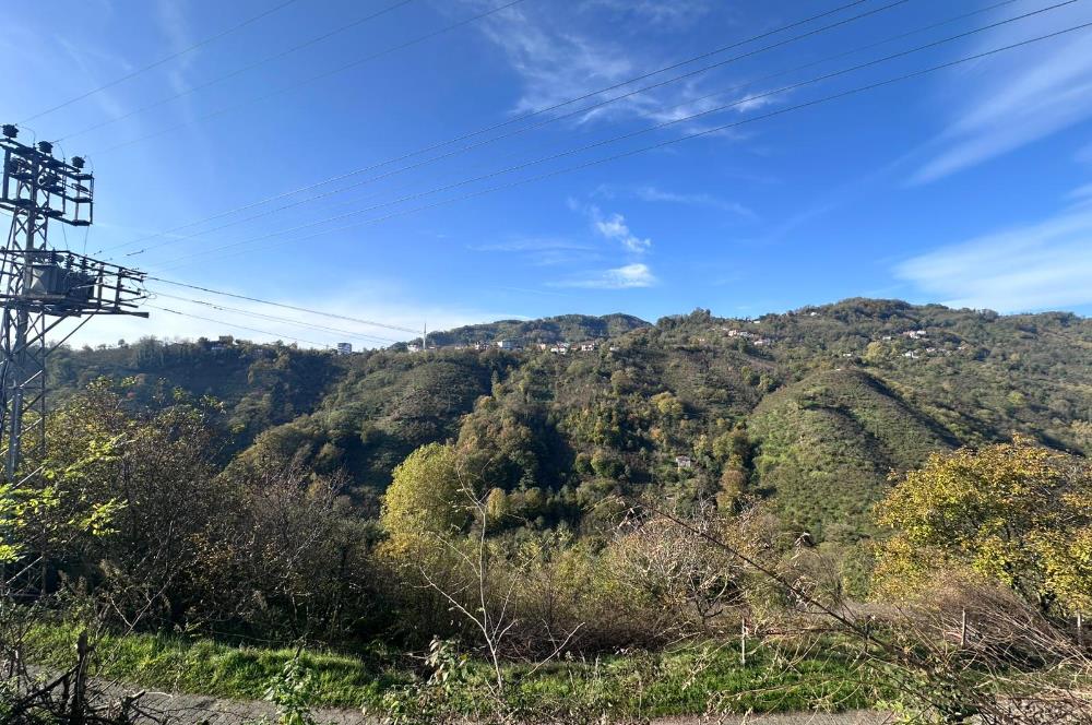 CENTURY 21'DEN PERŞEMBE KALEYAKADA DENİZ MANZARALI ARSA