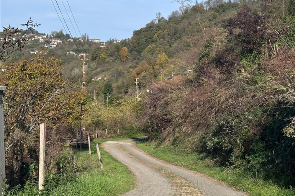 CENTURY 21'DEN PERŞEMBE KALEYAKADA DENİZ MANZARALI ARSA