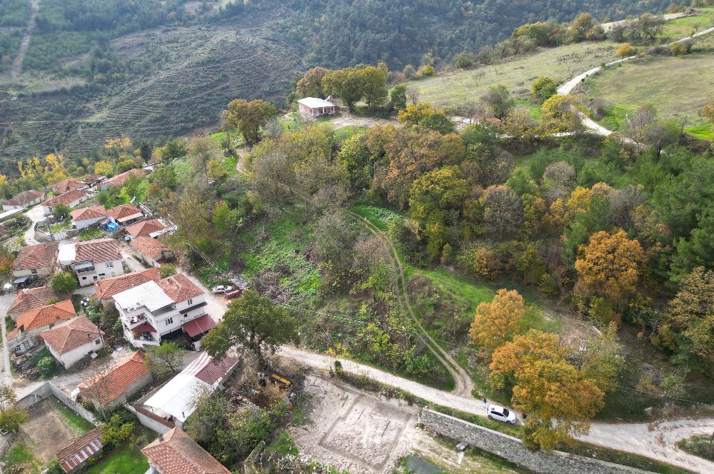 C21 BAL'dan ALTIEYLÜL KİRAZPINAR KÖYÜNDE SATILIK ARSA