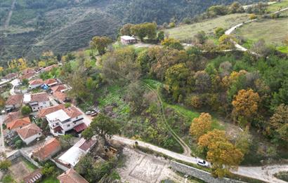 C21 BAL'dan ALTIEYLÜL KİRAZPINAR KÖYÜNDE SATILIK ARSA