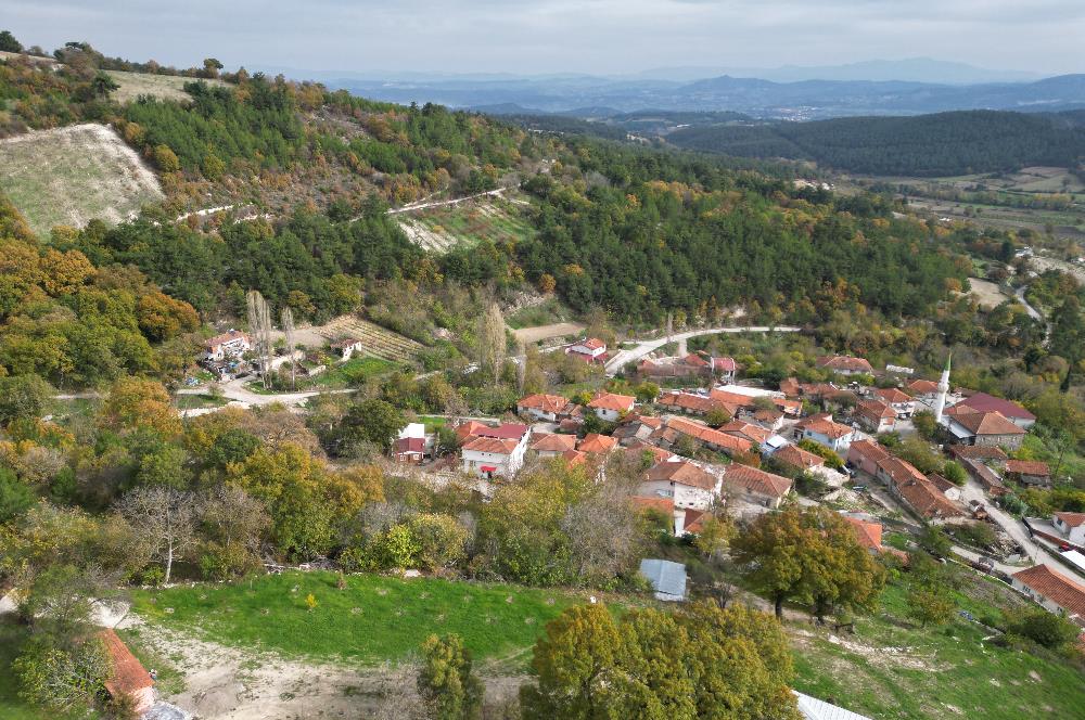 C21 BAL'dan ALTIEYLÜL KİRAZPINAR KÖYÜNDE SATILIK ARSA