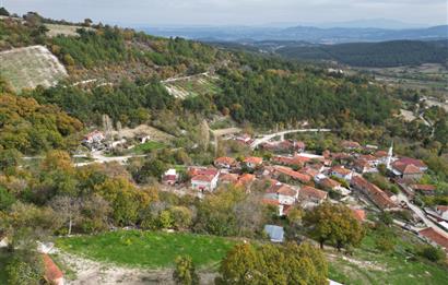 C21 BAL'dan ALTIEYLÜL KİRAZPINAR KÖYÜNDE SATILIK ARSA