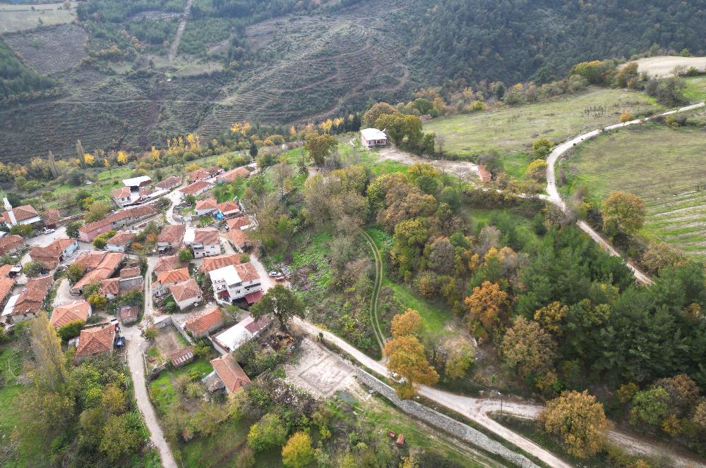 C21 BAL'dan ALTIEYLÜL KİRAZPINAR KÖYÜNDE SATILIK ARSA