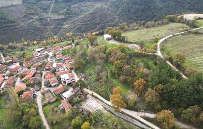 C21 BAL'dan ALTIEYLÜL KİRAZPINAR KÖYÜNDE SATILIK ARSA