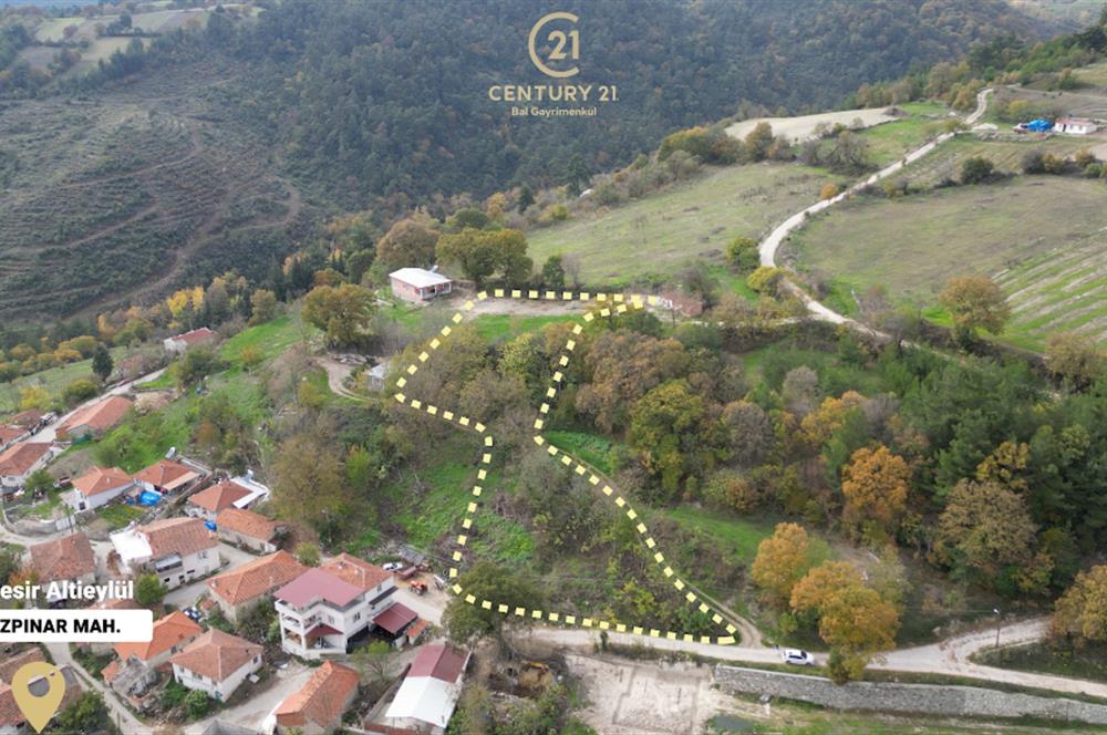 C21 BAL'dan ALTIEYLÜL KİRAZPINAR KÖYÜNDE SATILIK ARSA