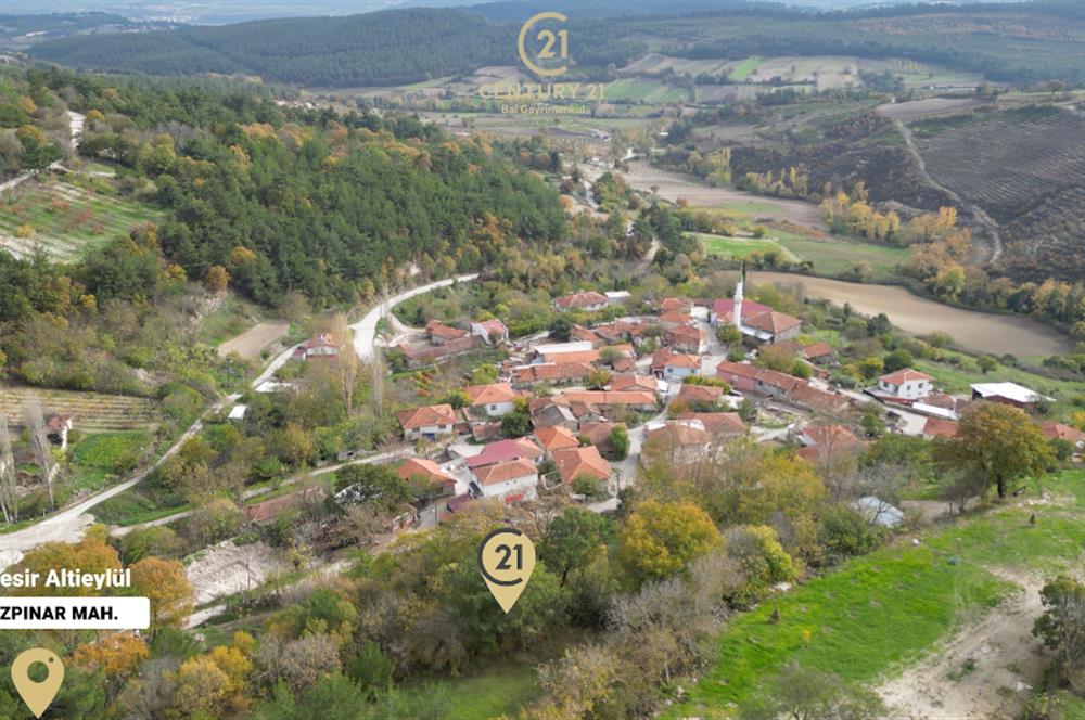 C21 BAL'dan ALTIEYLÜL KİRAZPINAR KÖYÜNDE SATILIK ARSA