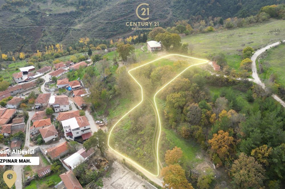 C21 BAL'dan ALTIEYLÜL KİRAZPINAR KÖYÜNDE SATILIK ARSA