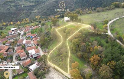 C21 BAL'dan ALTIEYLÜL KİRAZPINAR KÖYÜNDE SATILIK ARSA