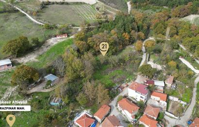 C21 BAL'dan ALTIEYLÜL KİRAZPINAR KÖYÜNDE SATILIK ARSA