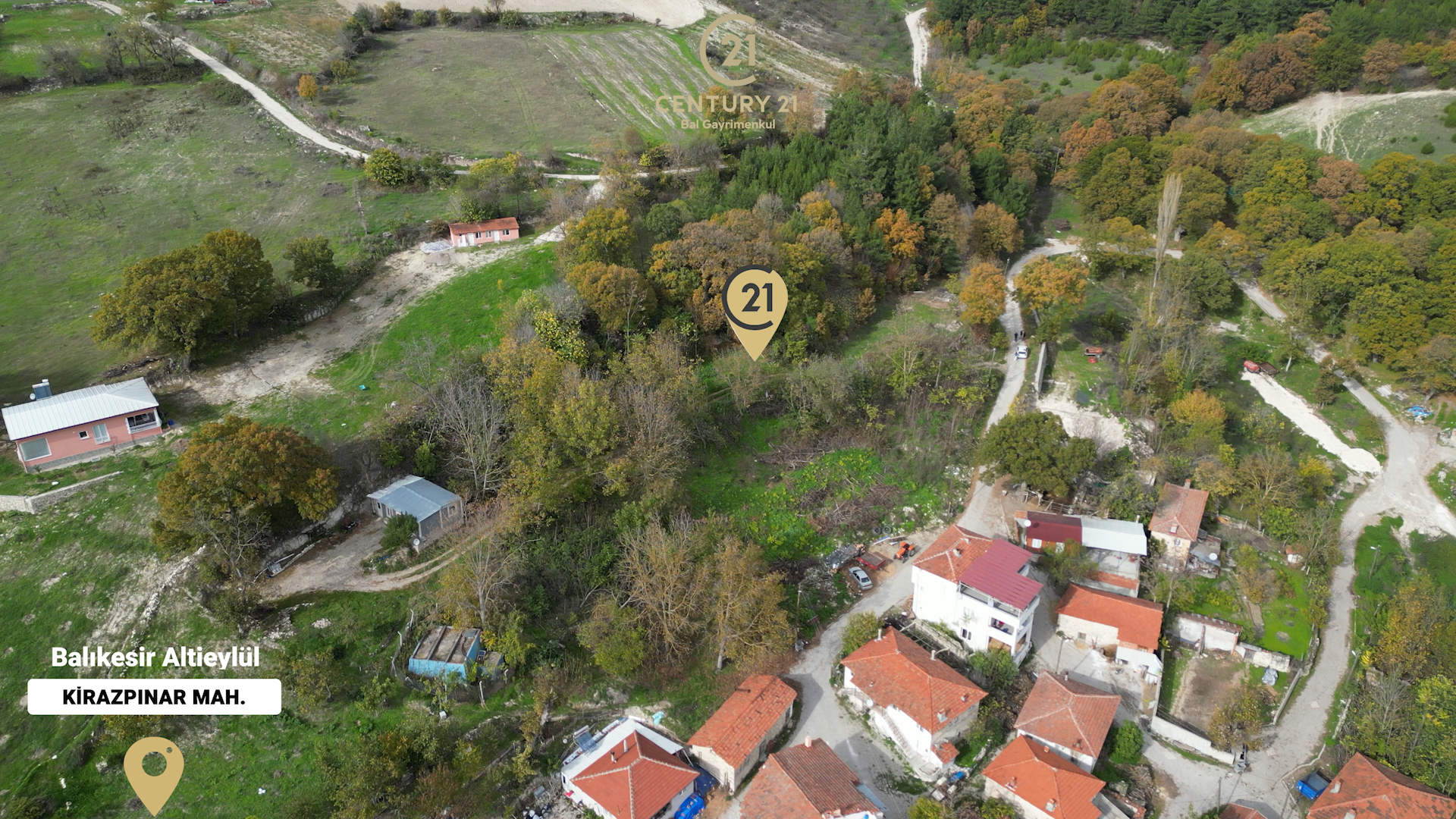 C21 BAL'dan ALTIEYLÜL KİRAZPINAR KÖYÜNDE SATILIK ARSA