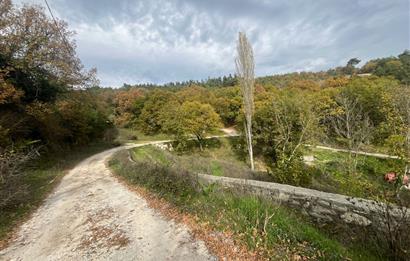 C21 BAL'dan ALTIEYLÜL KİRAZPINAR KÖYÜNDE SATILIK ARSA