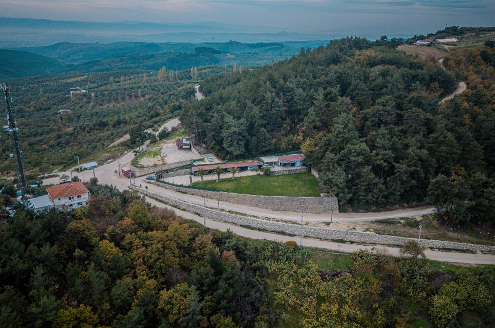 C21 LOCA'DAN MUDANYA ÇEPNİ'DE PANORAMİK MANZARALI EV VE ARAZİSİ