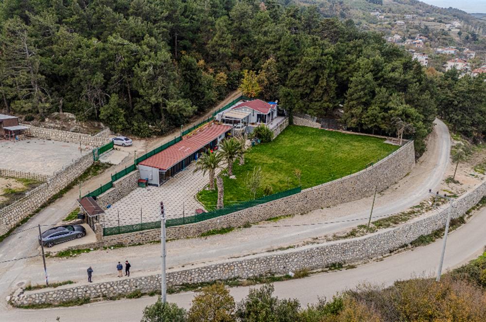 C21 LOCA'DAN MUDANYA ÇEPNİ'DE PANORAMİK MANZARALI EV VE ARAZİSİ