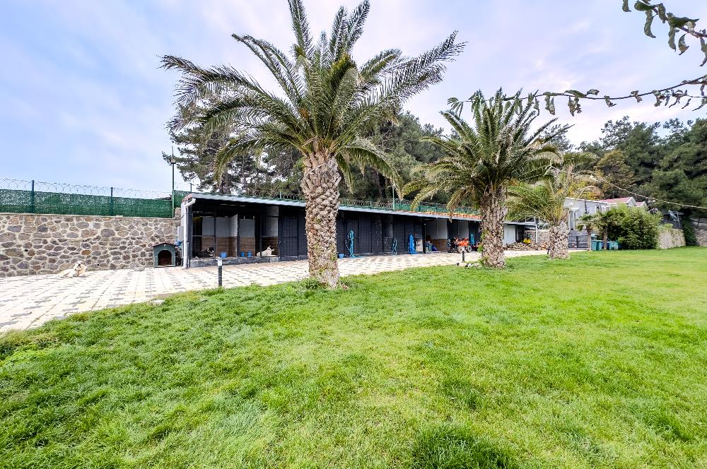 C21 LOCA'DAN MUDANYA ÇEPNİ'DE PANORAMİK MANZARALI EV VE ARAZİSİ