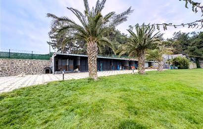 C21 LOCA'DAN MUDANYA ÇEPNİ'DE PANORAMİK MANZARALI EV VE ARAZİSİ