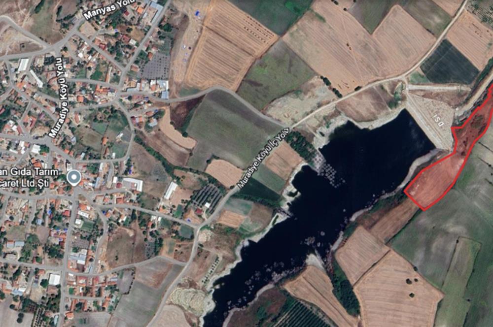 C21 LOCA'DAN SUSURLUK MURADİYE'DE BARAJ KENARI MANZARALI TARLA