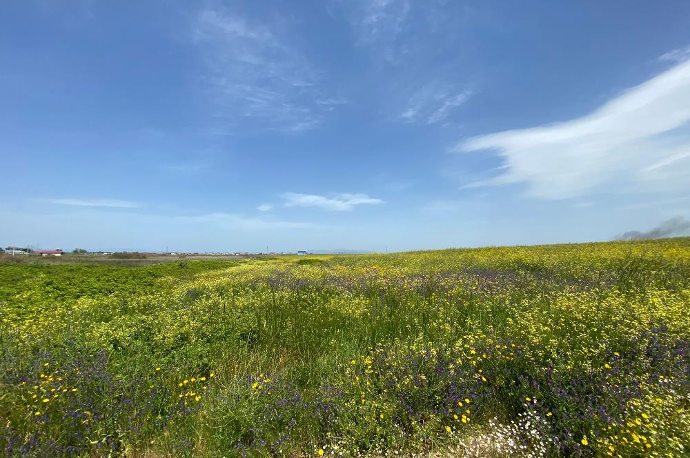 C21 LOCA'DAN BİGA ÇEŞMEALTINDA FIRSAT VİLLA ARSASI