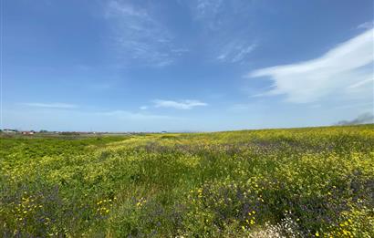 C21 LOCA'DAN BİGA ÇEŞMEALTINDA FIRSAT VİLLA ARSASI