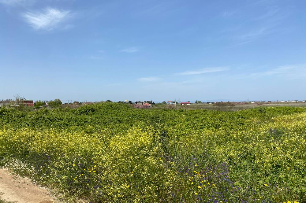 C21 LOCA'DAN BİGA ÇEŞMEALTINDA FIRSAT VİLLA ARSASI