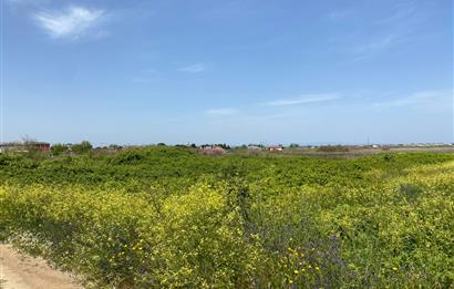 C21 LOCA'DAN BİGA ÇEŞMEALTINDA FIRSAT VİLLA ARSASI