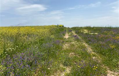 C21 LOCA'DAN BİGA ÇEŞMEALTINDA FIRSAT VİLLA ARSASI