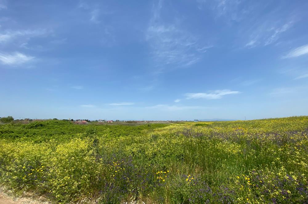 C21 LOCA'DAN BİGA ÇEŞMEALTINDA FIRSAT VİLLA ARSASI