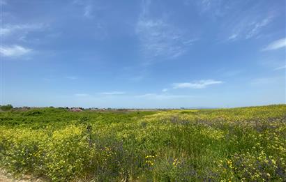 C21 LOCA'DAN BİGA ÇEŞMEALTINDA FIRSAT VİLLA ARSASI