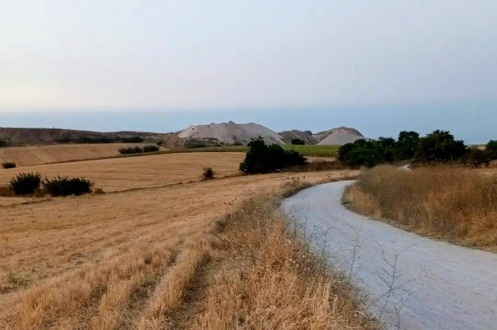 C21 LOCA'DAN SUSURLUK MURADİYE'DE BARAJ KENARI MANZARALI TARLA