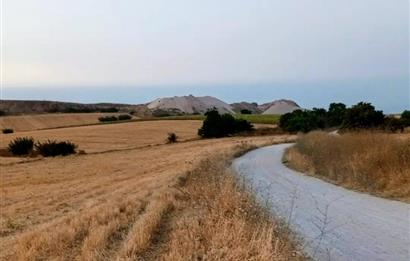 C21 LOCA'DAN SUSURLUK MURADİYE'DE BARAJ KENARI MANZARALI TARLA