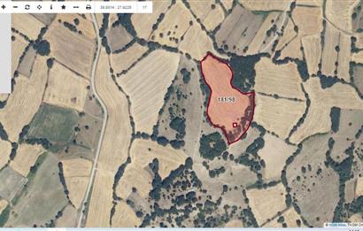 C21 BAL'DAN BALIKESİR YAĞCILAR'DA 15.500 DÖNÜM SATILIK TARLA