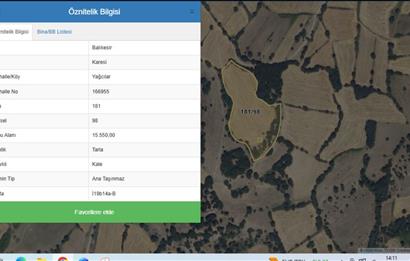 C21 BAL'DAN BALIKESİR YAĞCILAR'DA 15.500 DÖNÜM SATILIK TARLA